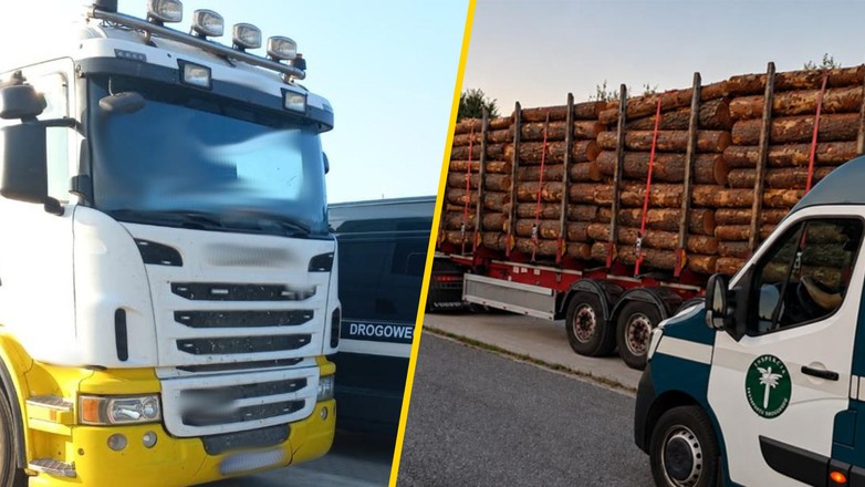 Inspektorzy ITD zatrzymali transport jak z "Oszukać Przeznaczenie"