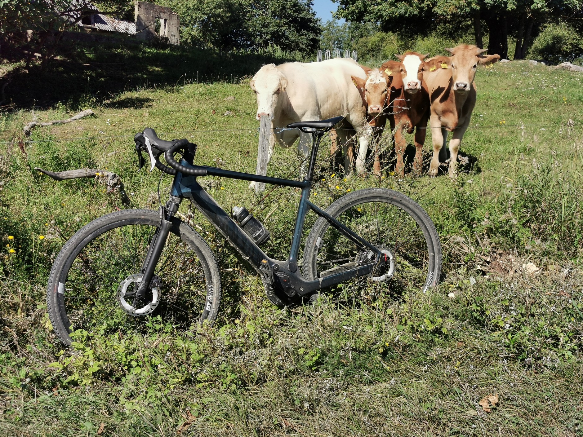 Canyon Grizl:ON CF 7