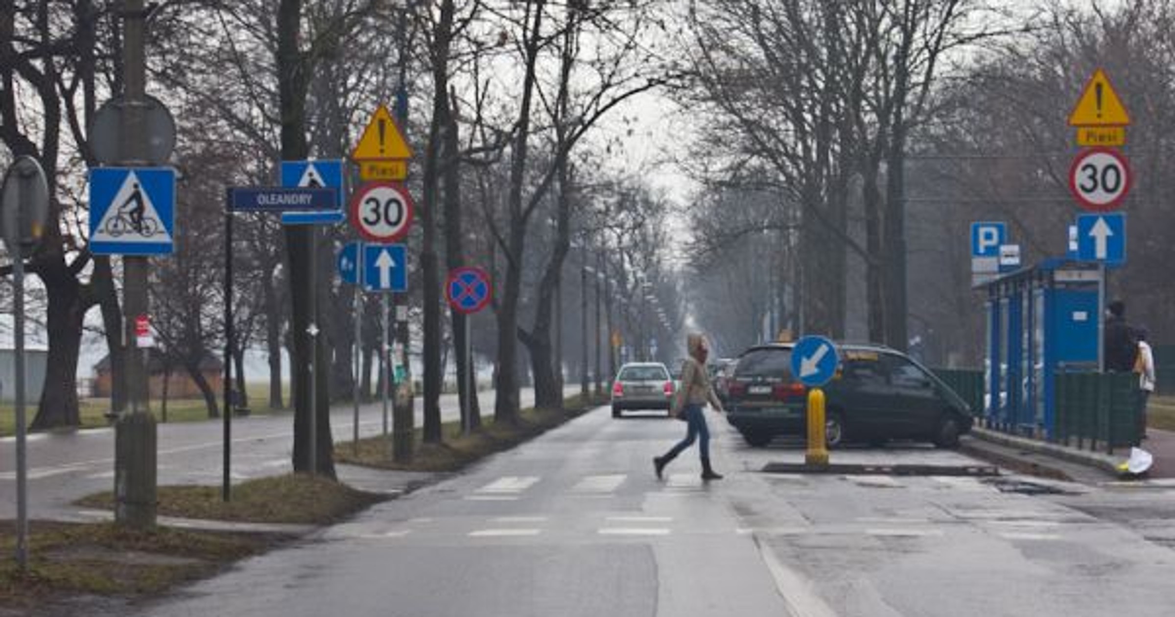 Las znaków przy drodze