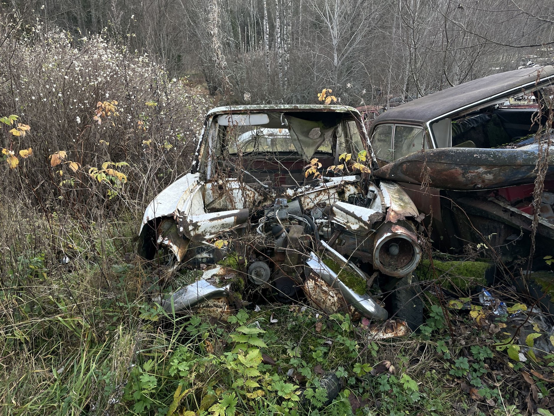 Cmentarzysko samochodów w Bastnas w Szwecji