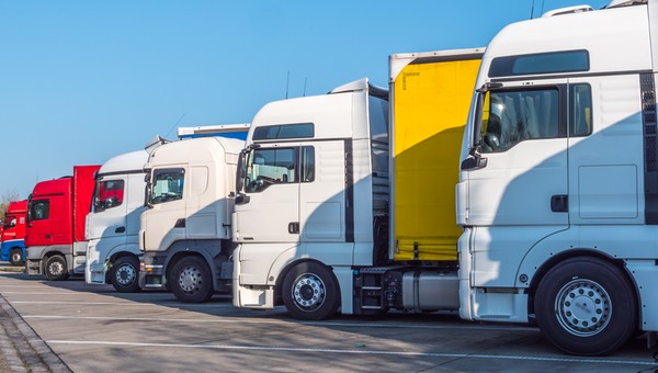 Czy wiesz, co znaczy Dżangłera? Wyjaśniamy tajemnicę "truckerów"