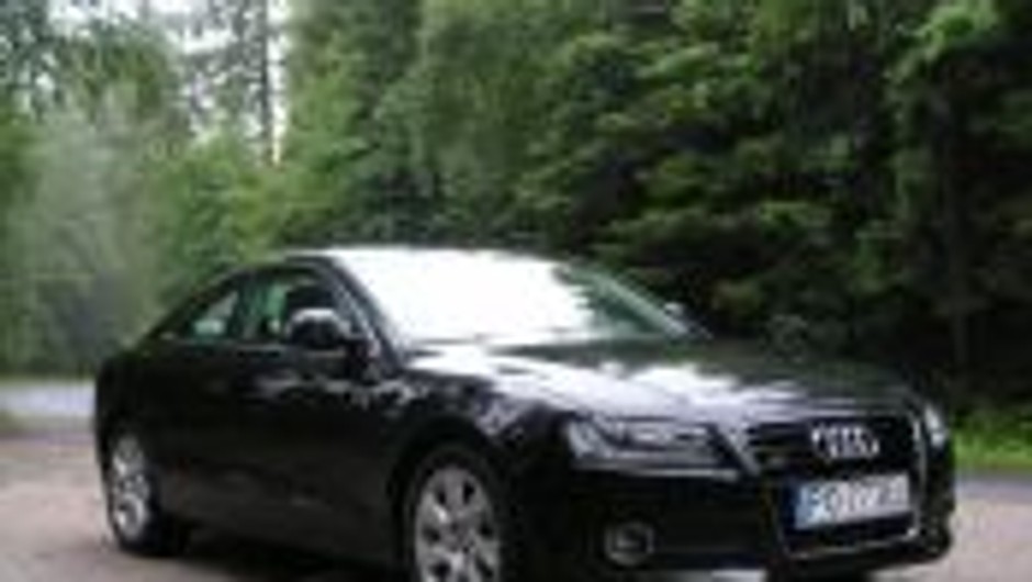 Zobacz najnowsze Audi!