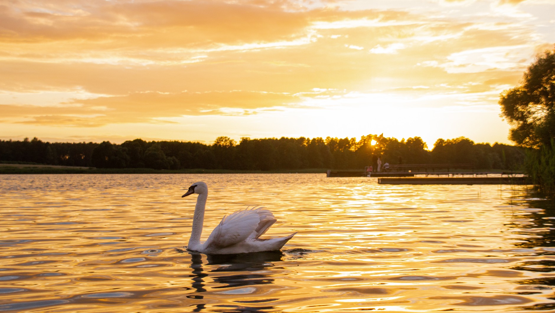 Jezioro na Podlasiu