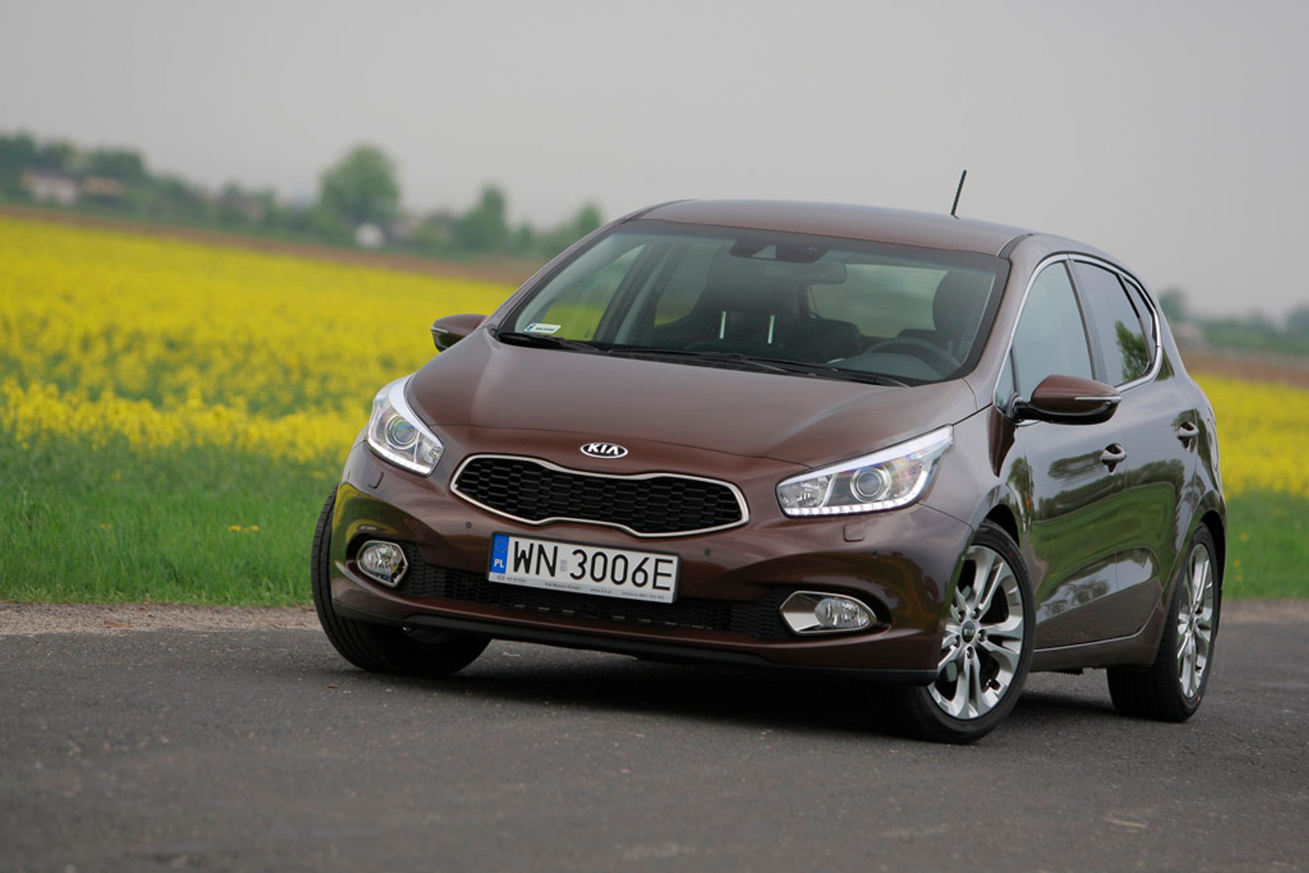 Kia ceed: spodoba się klientom