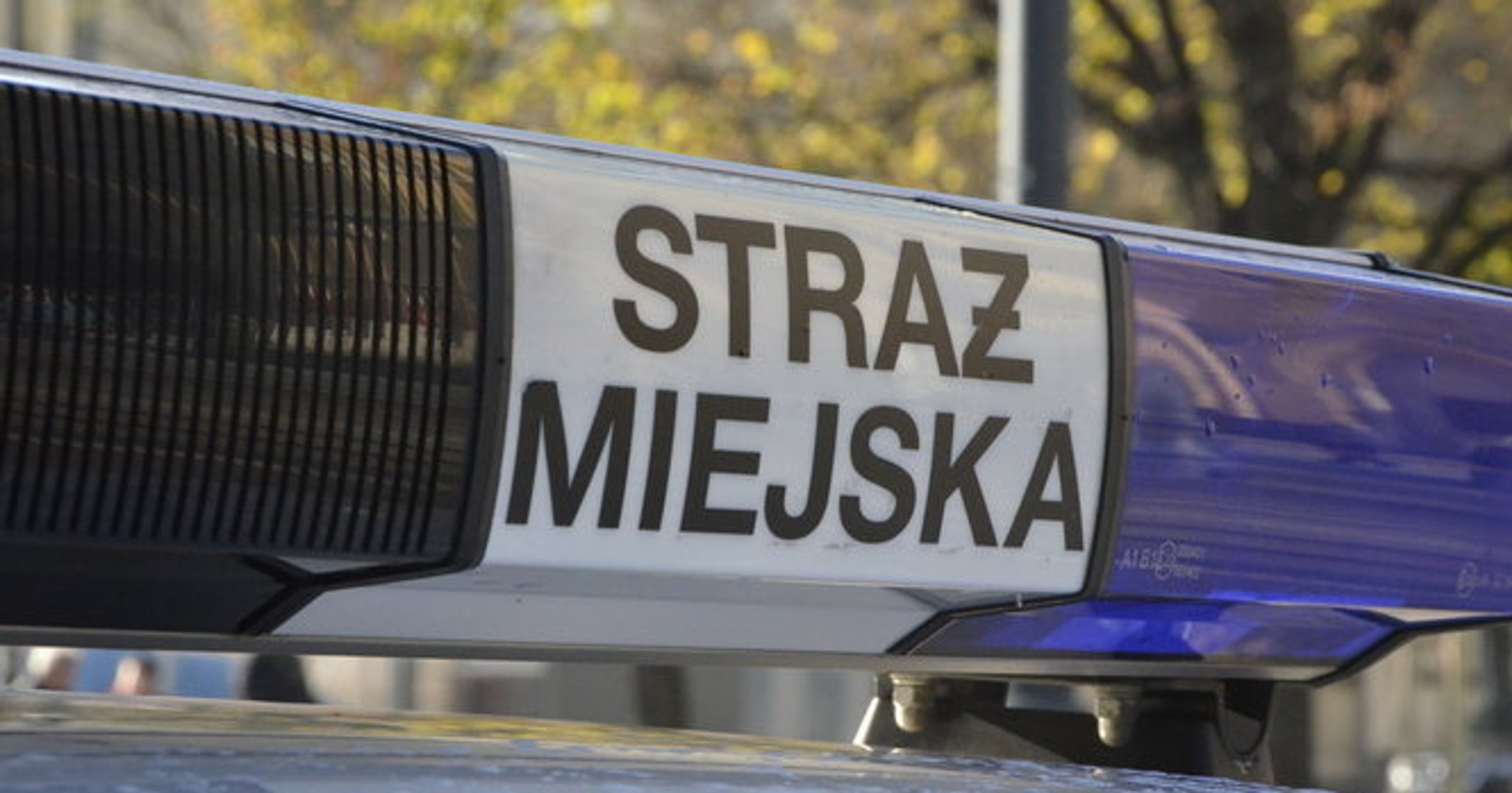 straż miejska