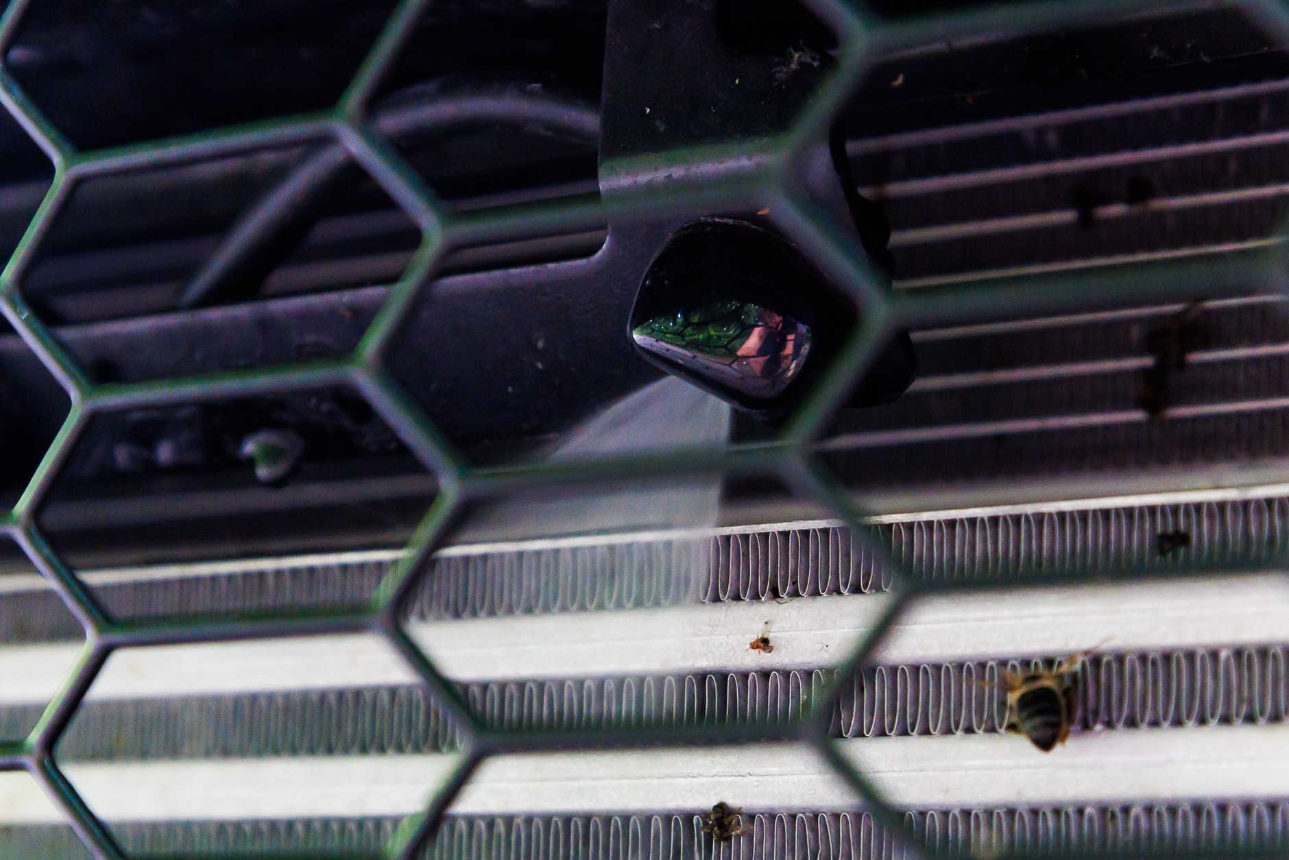 2024 Toyota GR Yaris