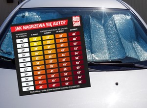 Wnętrze samochodu działa jak szklarnia. Zobacz, jak szybko rośnie w nim temperatura