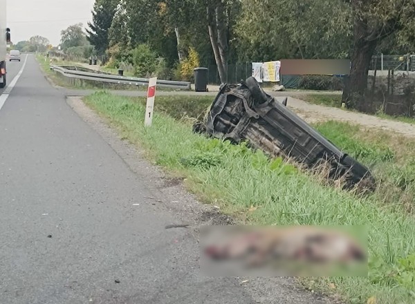Na "krajówce" zderzył się z dzikiem. 23-latek trafił do szpitala
