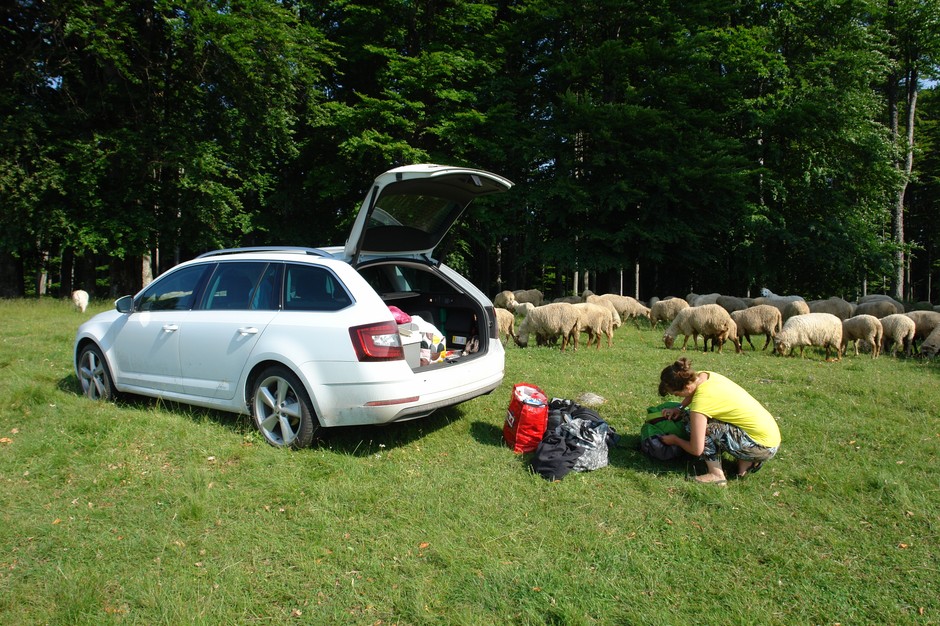 Skoda Octavia 1.4 TSI – koniec testu długodystansowego