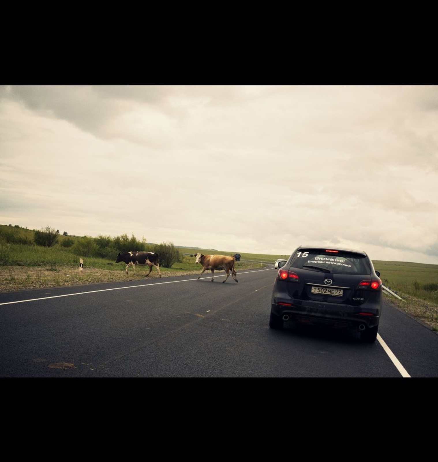 Podróż nową Mazdą 3 przez Syberię