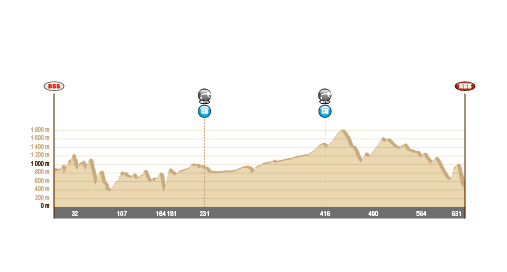 Dakar 2014: atak Mini, Przygoński walczy (9. etap, wyniki)