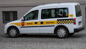 Pouczenie czy mandat? O tym decyduje przypadek i straż miejska