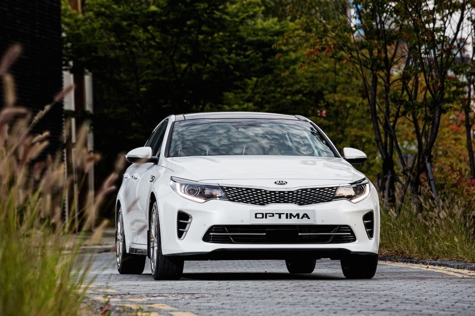 Nowa Kia Optima