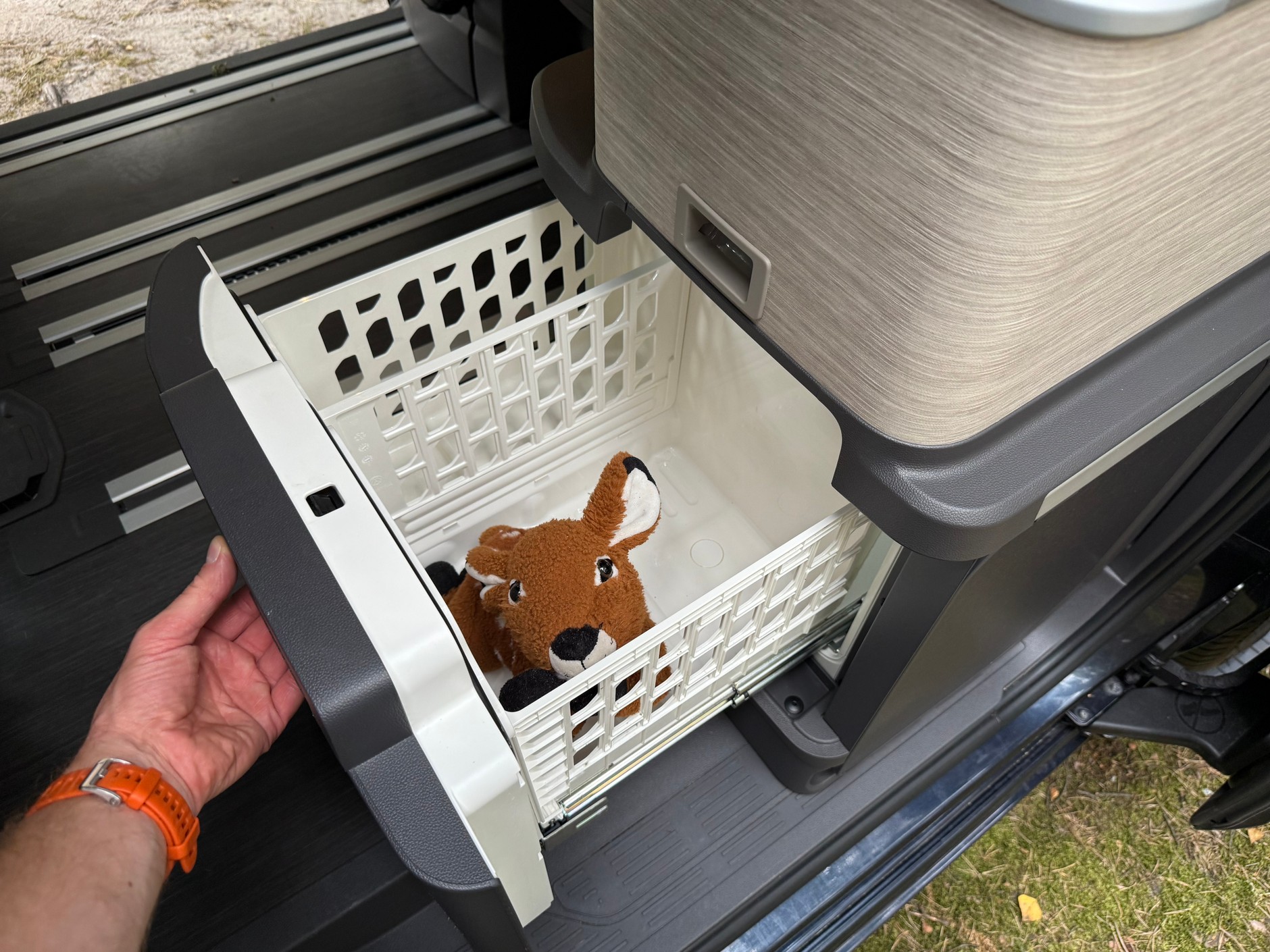 Volkswagen California Ocean 2025 – lodówka