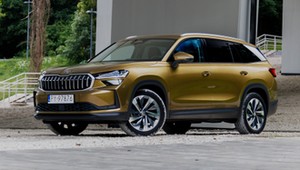 Nowa Skoda Kodiaq to najlepsza mikrokawalerka. I to z dieslem pod maską