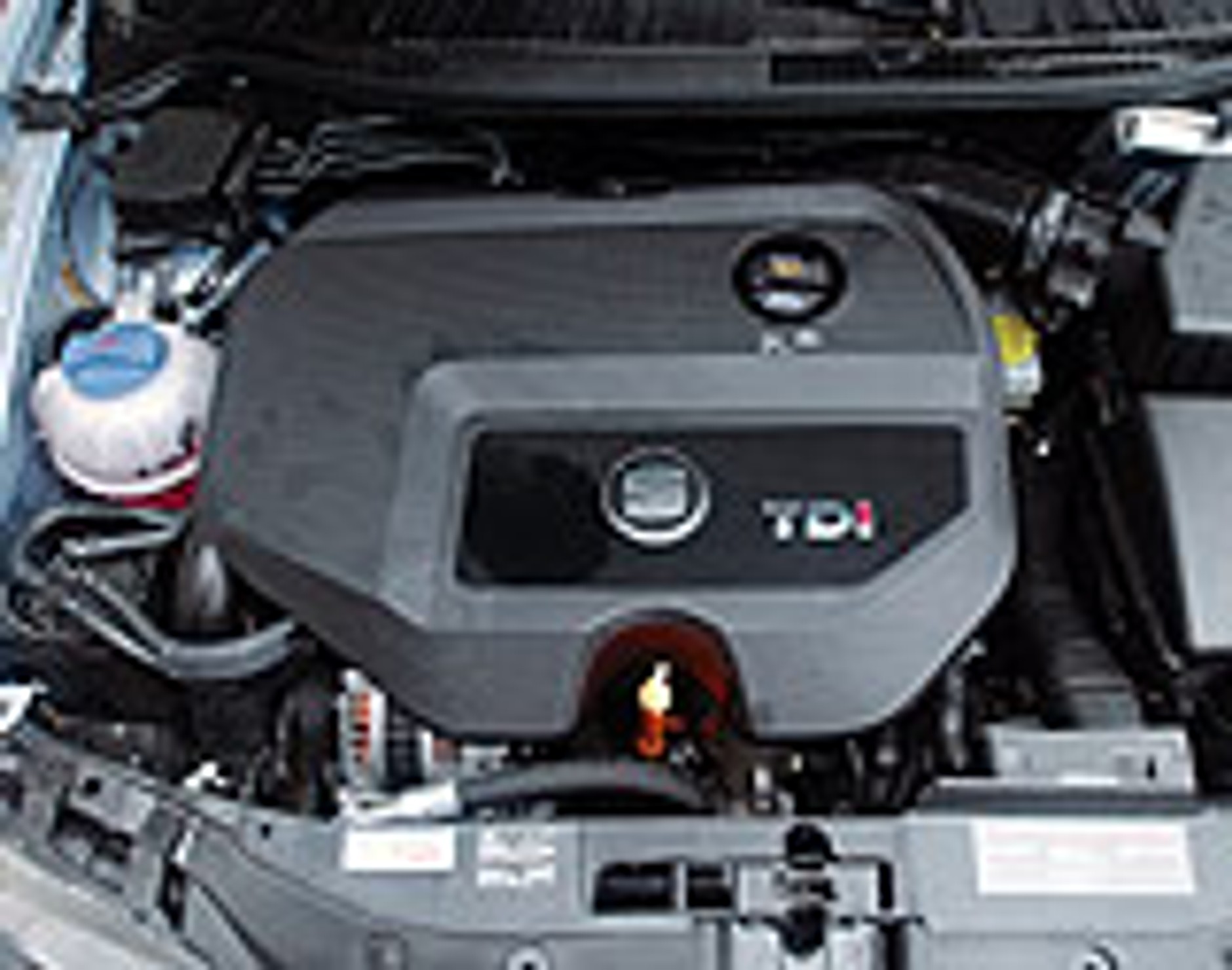 Cordoba znów urosła