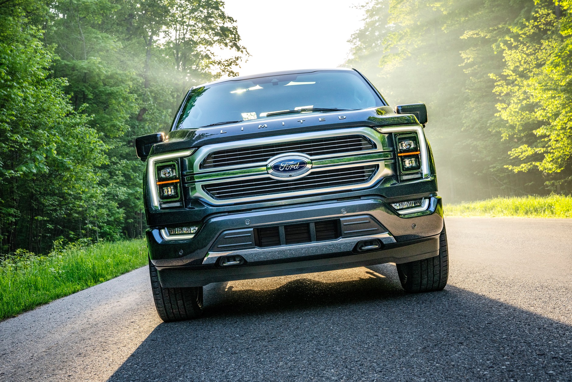Ford z serii F (14. generacja; od 2020 r.)