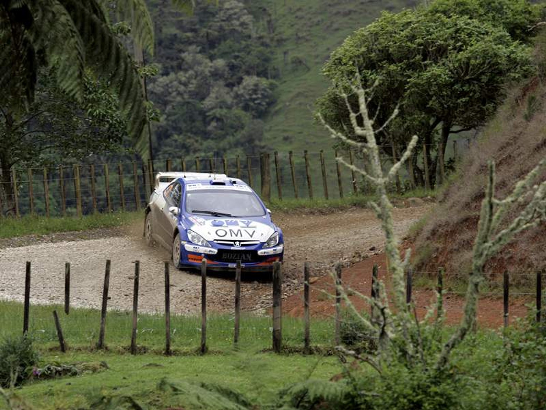 Ford Mistrzem Świata!