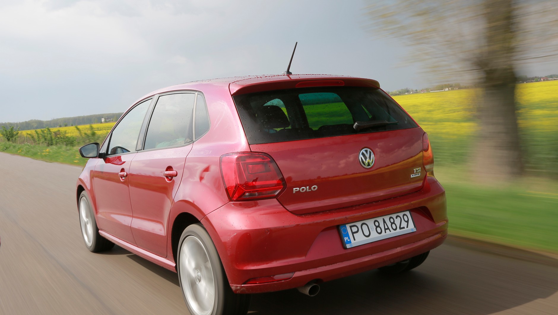 VW Polo