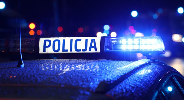 Jak udało im się ukraść niepostrzeżenie tak wielkie pojazdy? Policja prosi o pomoc