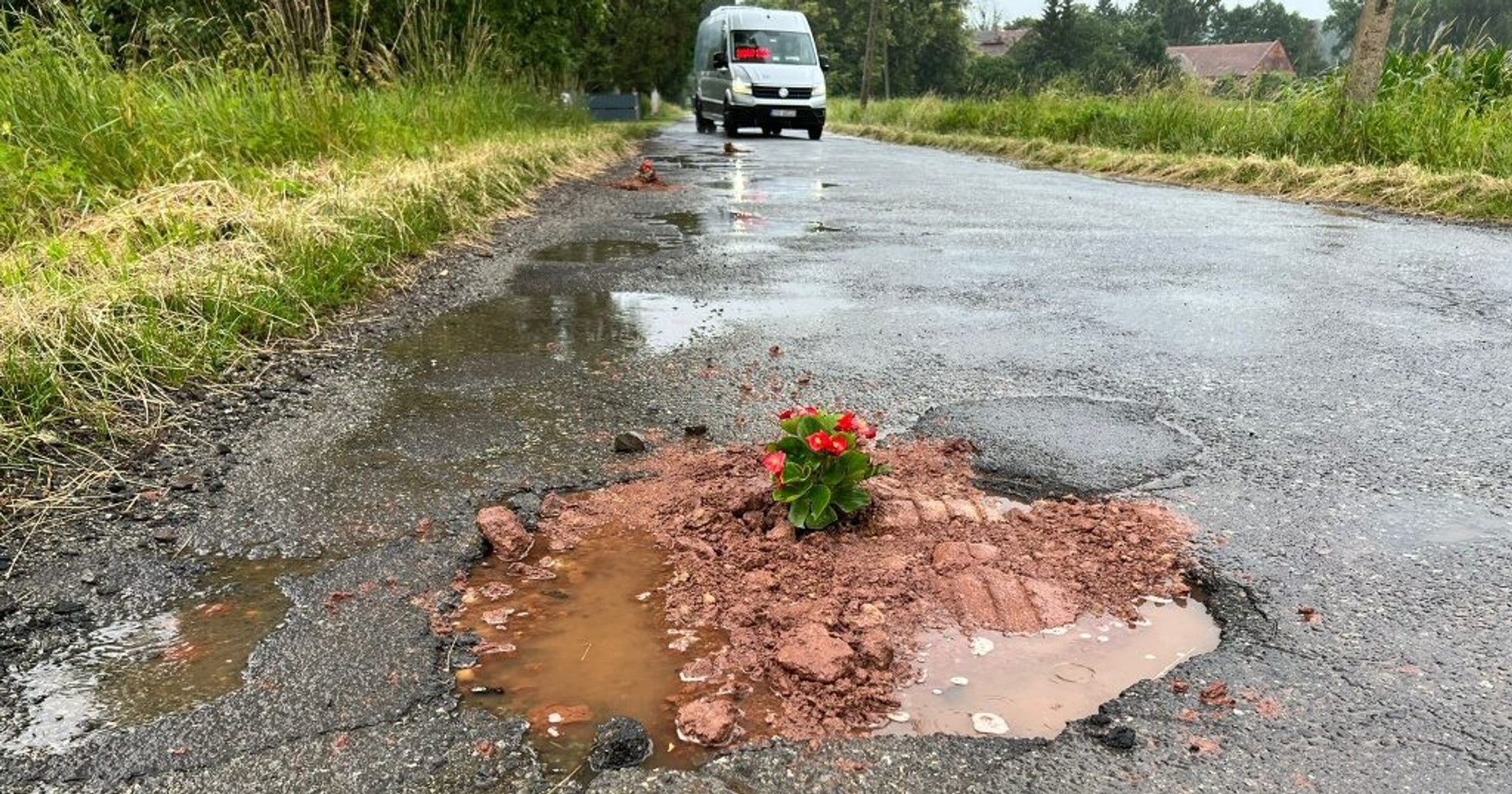 We wszystkich dziurach na kilometrowym odcinku drogi, zasadzone zostały kwiaty (zdjęcia użyczone przez portal 24klodzko.pl)