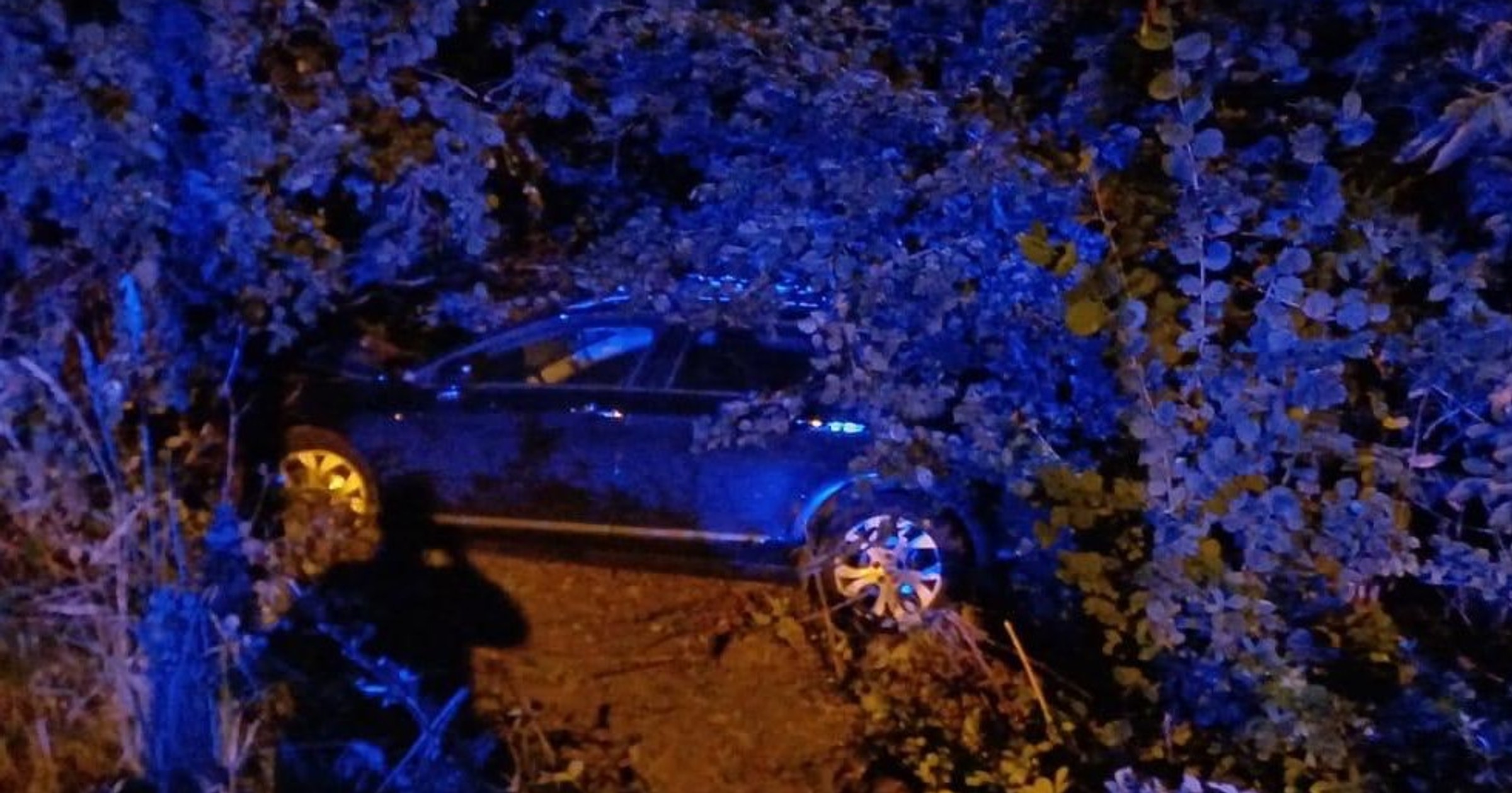 Zignorował polecenie policjantów. Pościg skończył się na drzewie