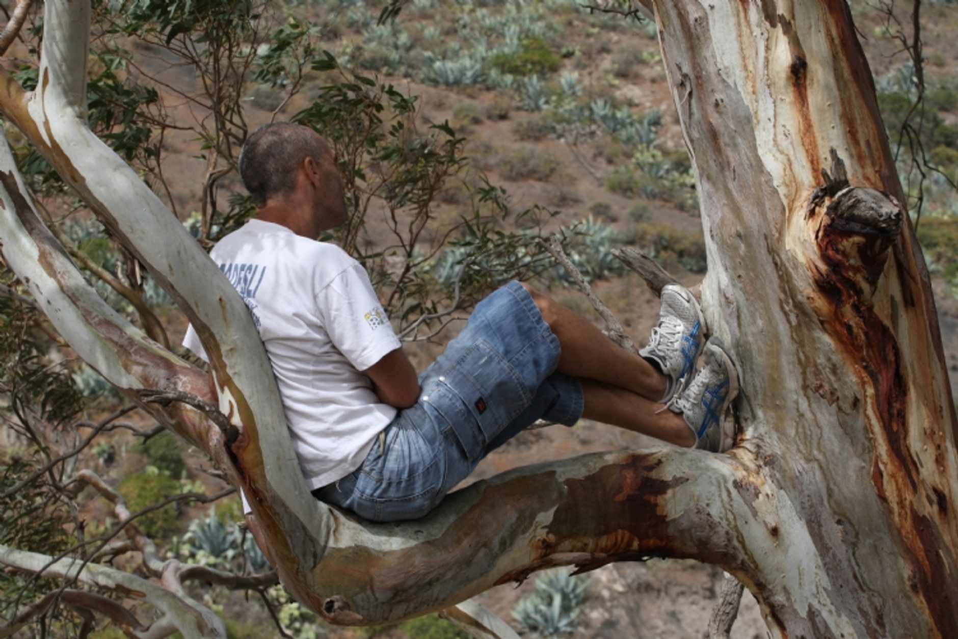Rally Islas Canarias 2010: całe podium dla Škody Motorsport