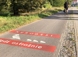 Policja wstrzymała ruch w Warszawie. Nurogęsi przechodziły przez Czerniakowską