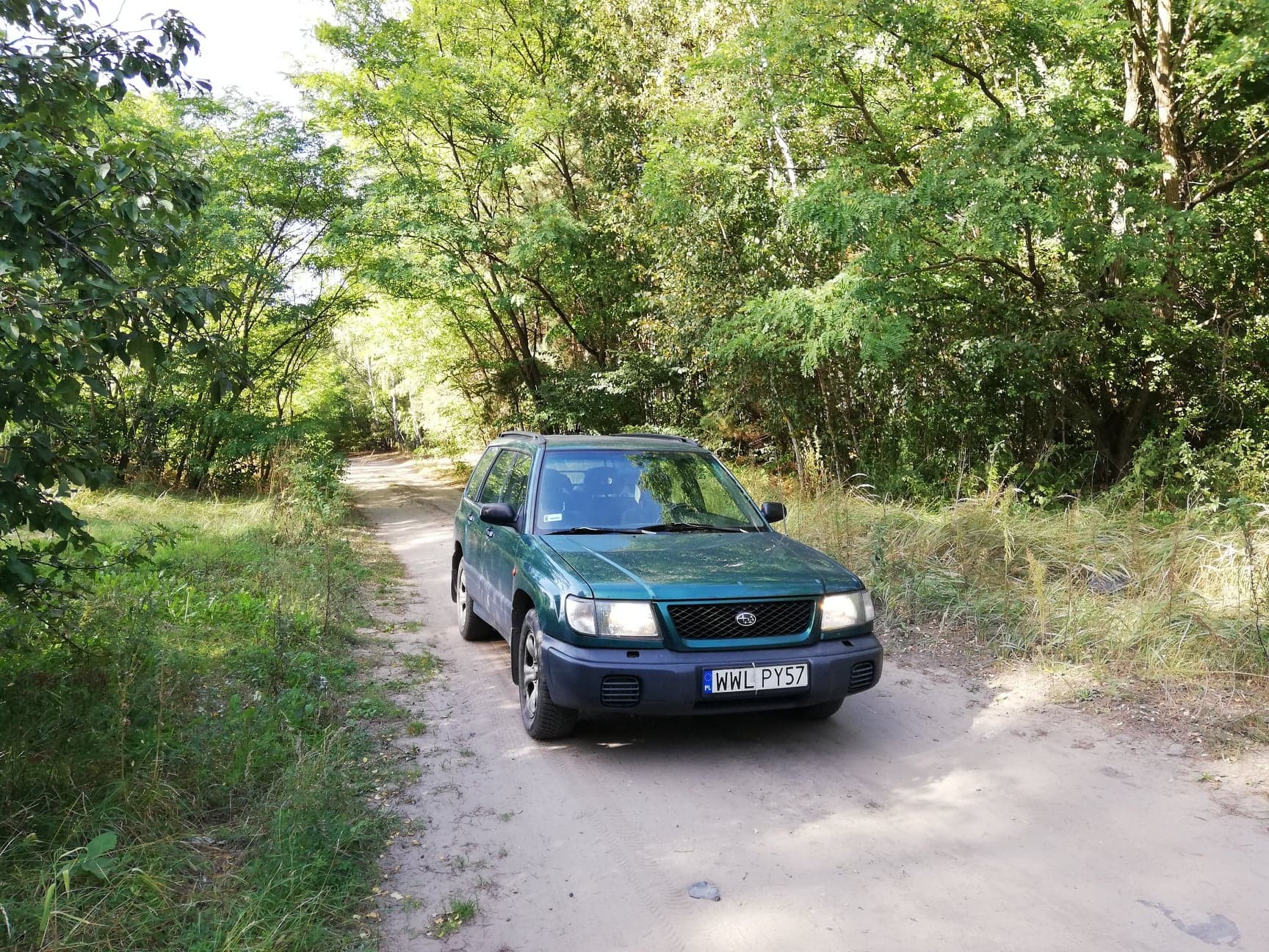 Droga leśna czy polna?