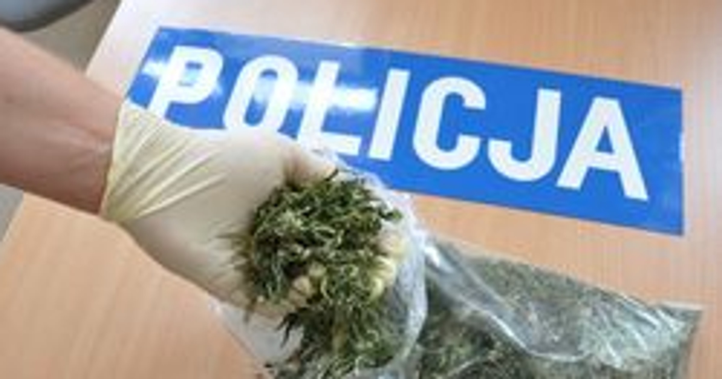 Ukradli kilkaset litrów paliwa ze zbiorników w samochodach