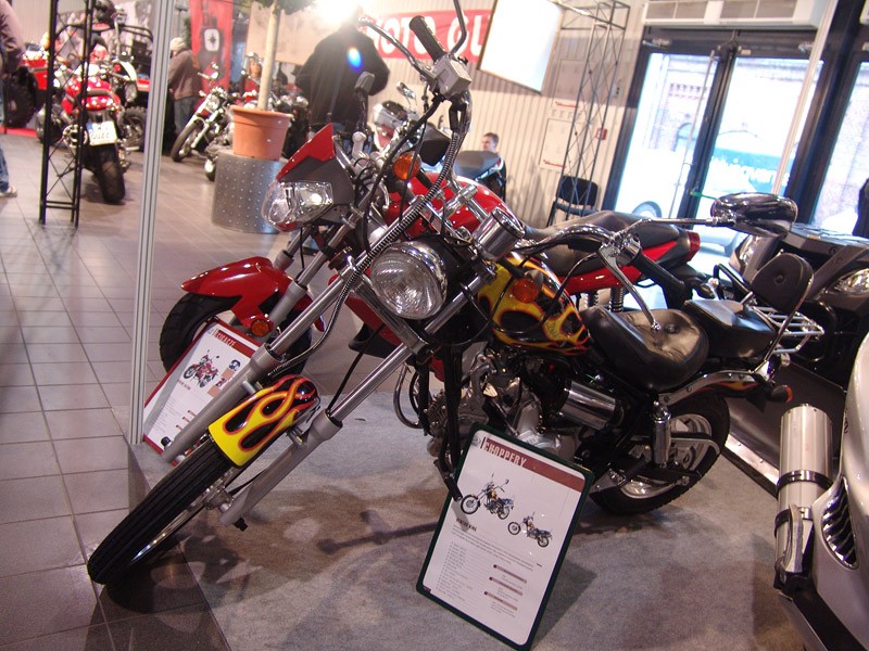 MOTOCYKL EXPO 2008: fotogaleria