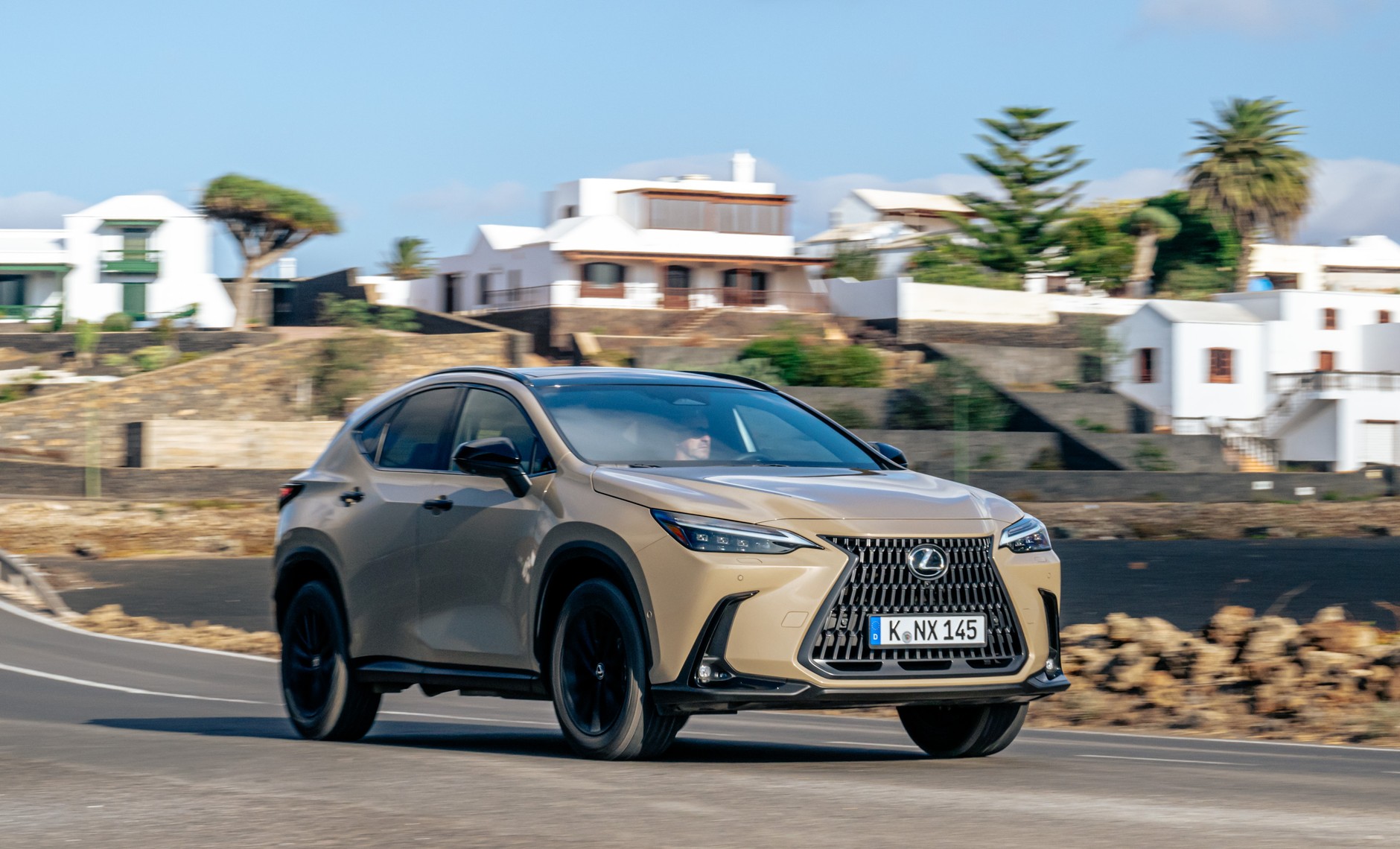 2024 NX LEXUS OVERTRAIL