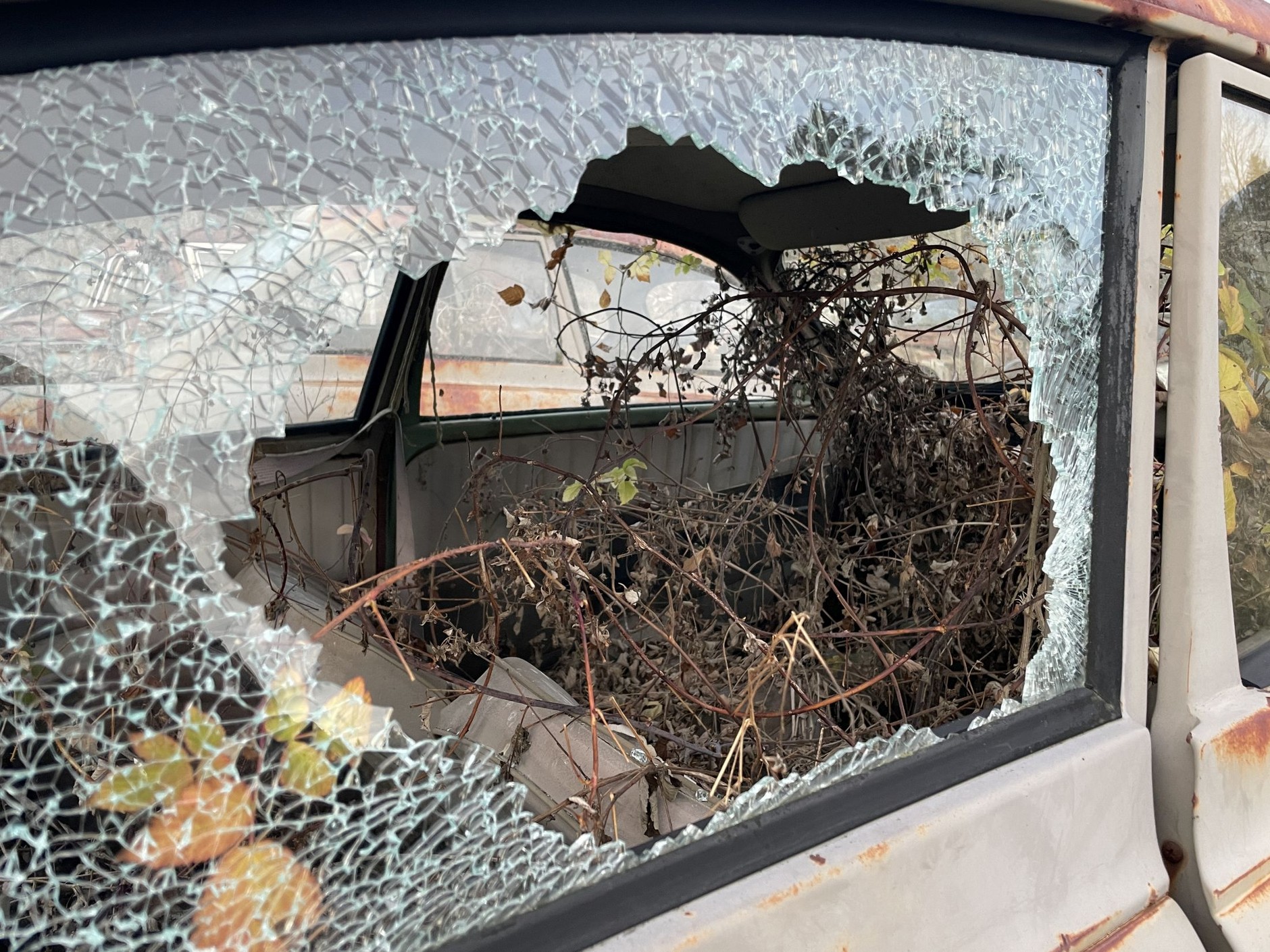 Cmentarzysko samochodów w Bastnas w Szwecji