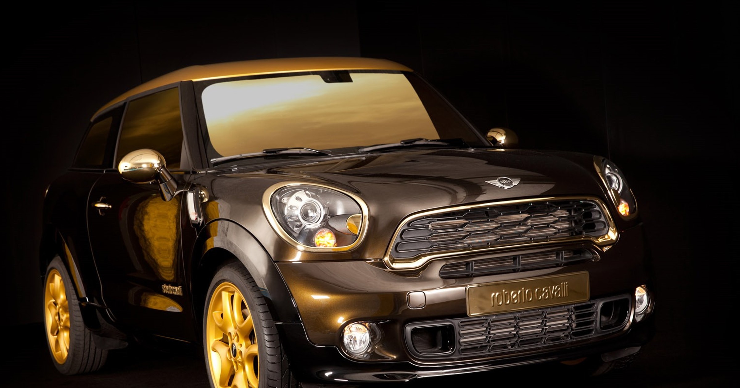 Mini Paceman