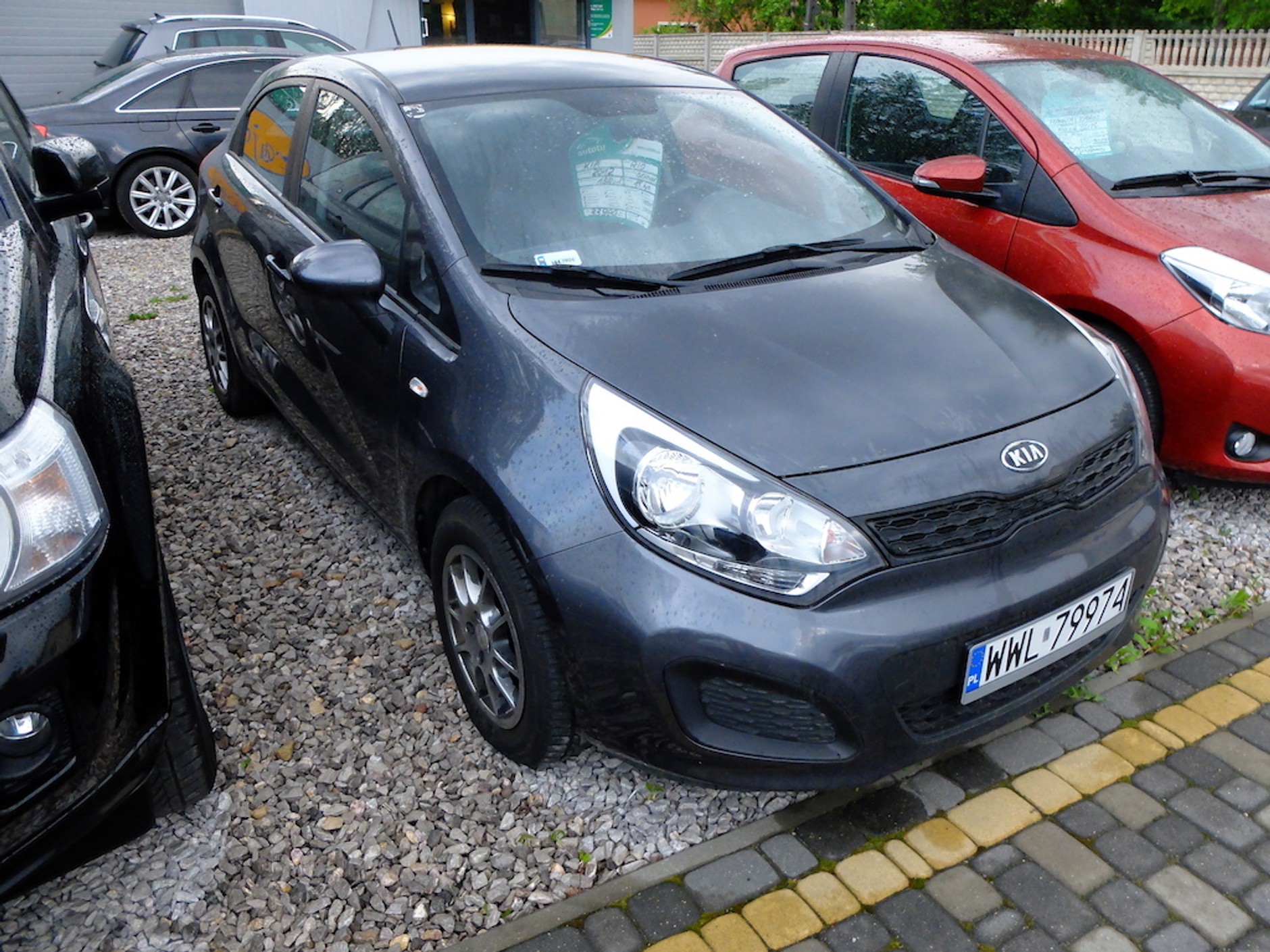 Kia Rio