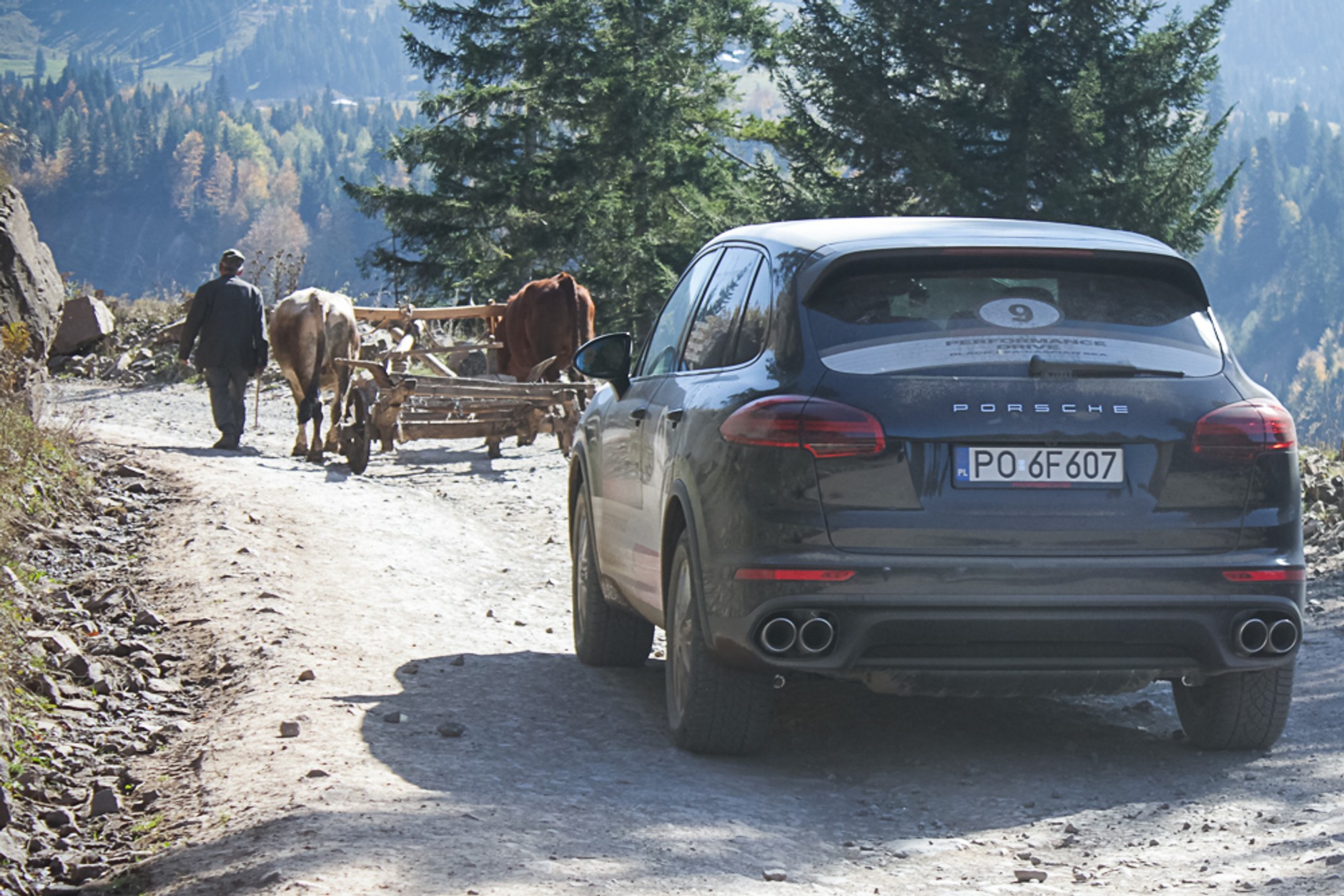 Porsche Cayenne. Luksusowy król bezdroży