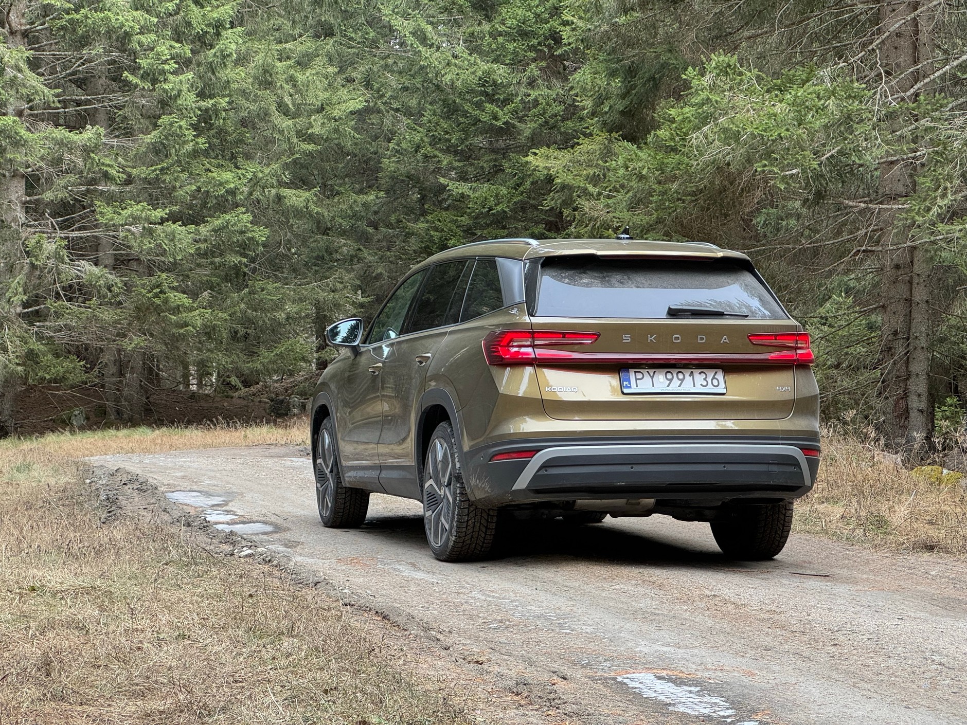 Skoda Kodiaq 4x4