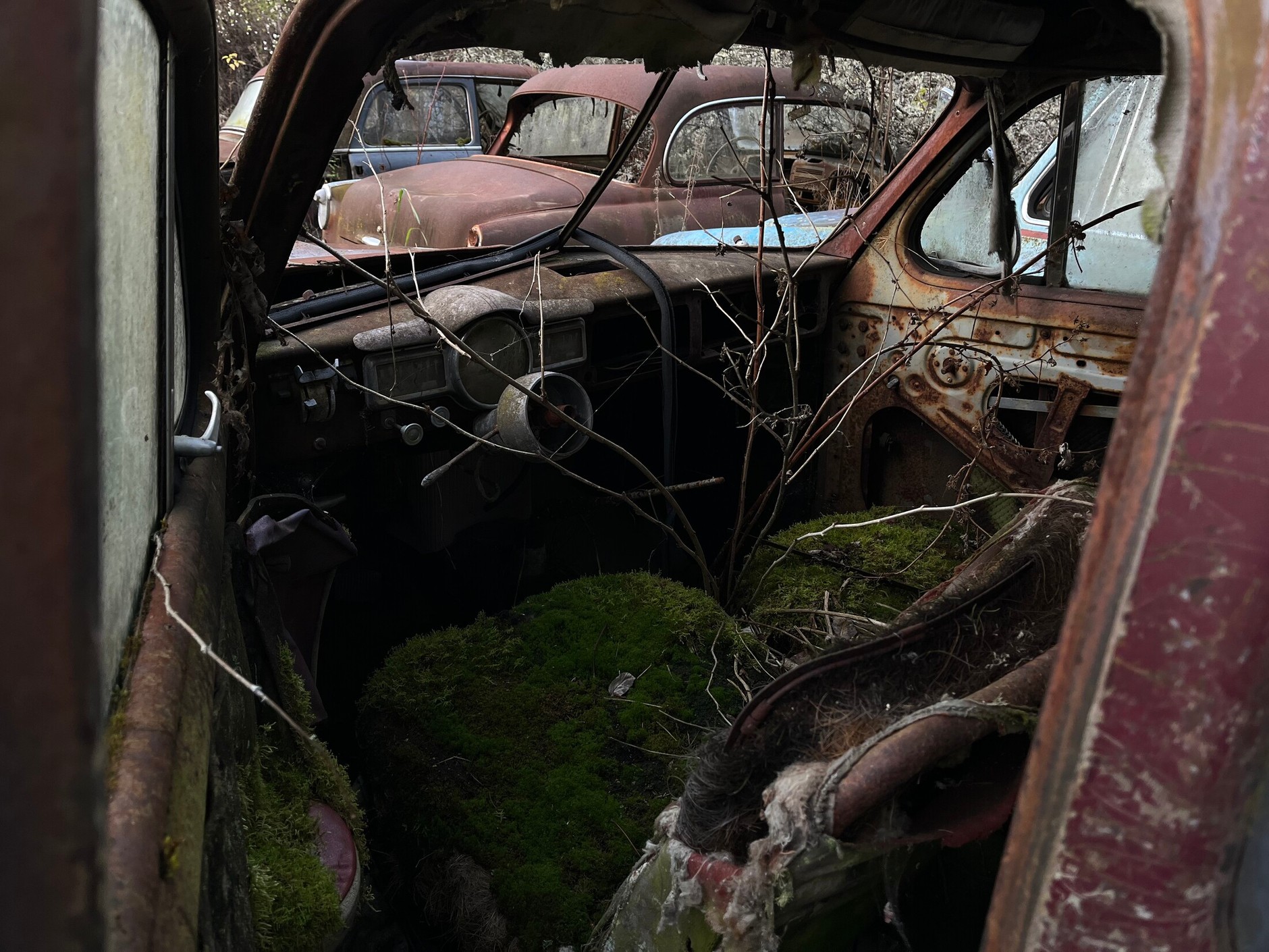 Cmentarzysko samochodów w Bastnas w Szwecji