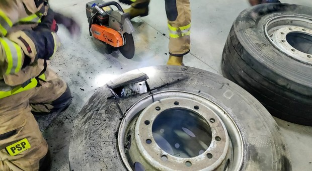 Strażnicy nie dali się oszukać. Prześwietlili tira specjalnym skanerem