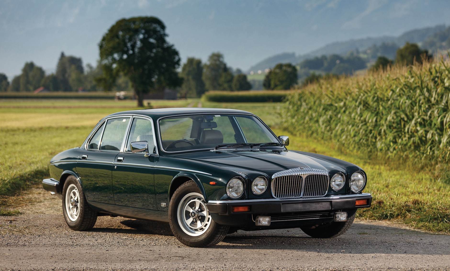 1984-Daimler-Double-Six-Long-Wheelbase-Saloon817802