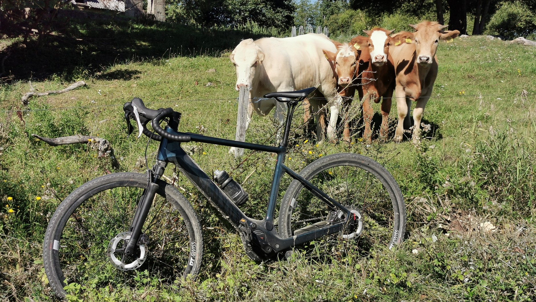 Canyon Grizl:ON CF 7