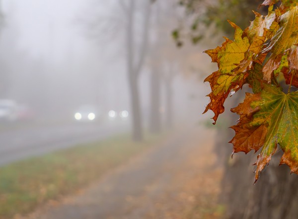 Jesienią kierowcy widzą gorzej. Można łatwo sobie pomóc