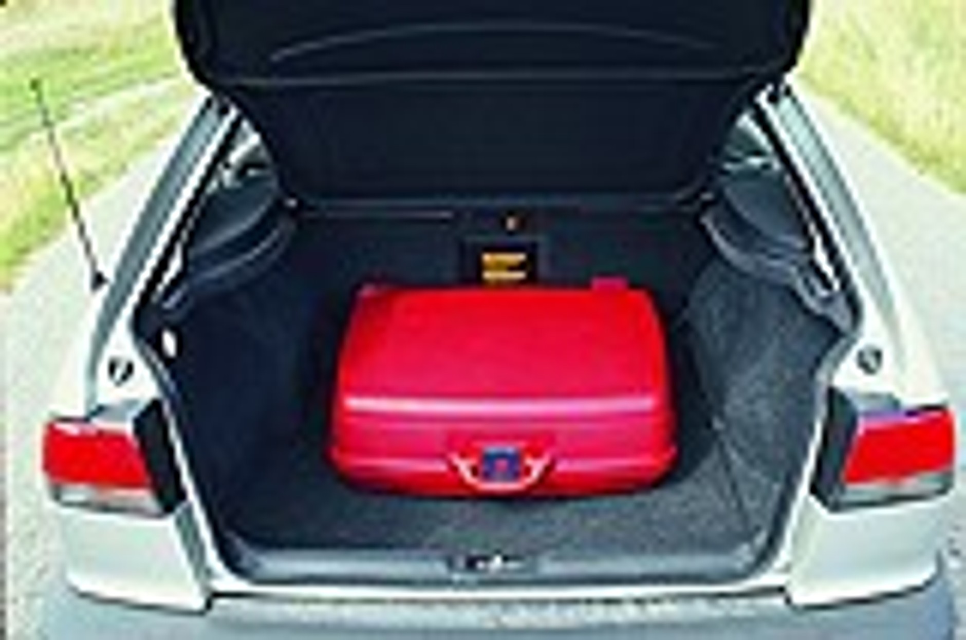 Owca w wilczej skórze?