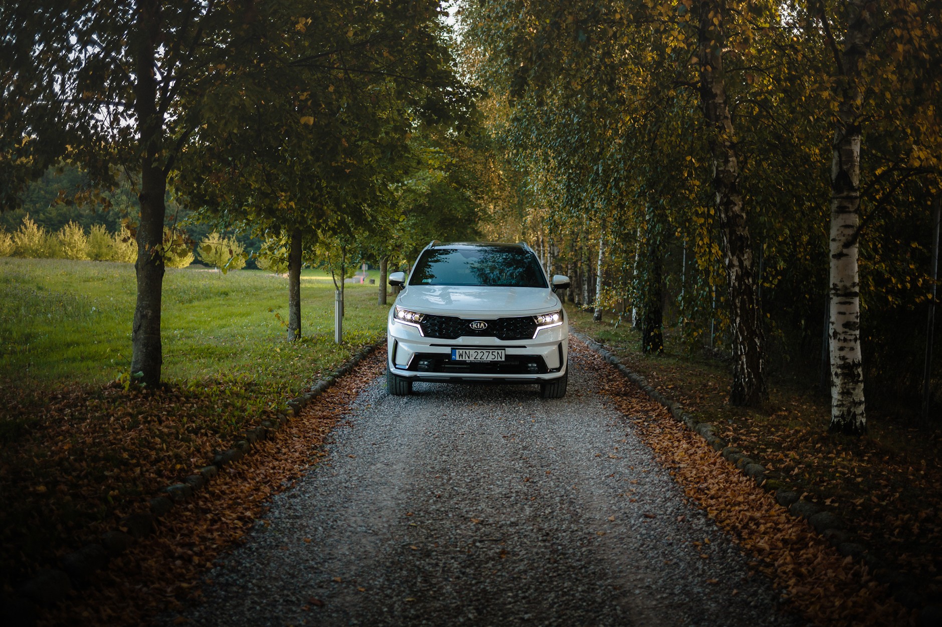 Kia Sorento 1.6 T-GDI HEV Prestige Line