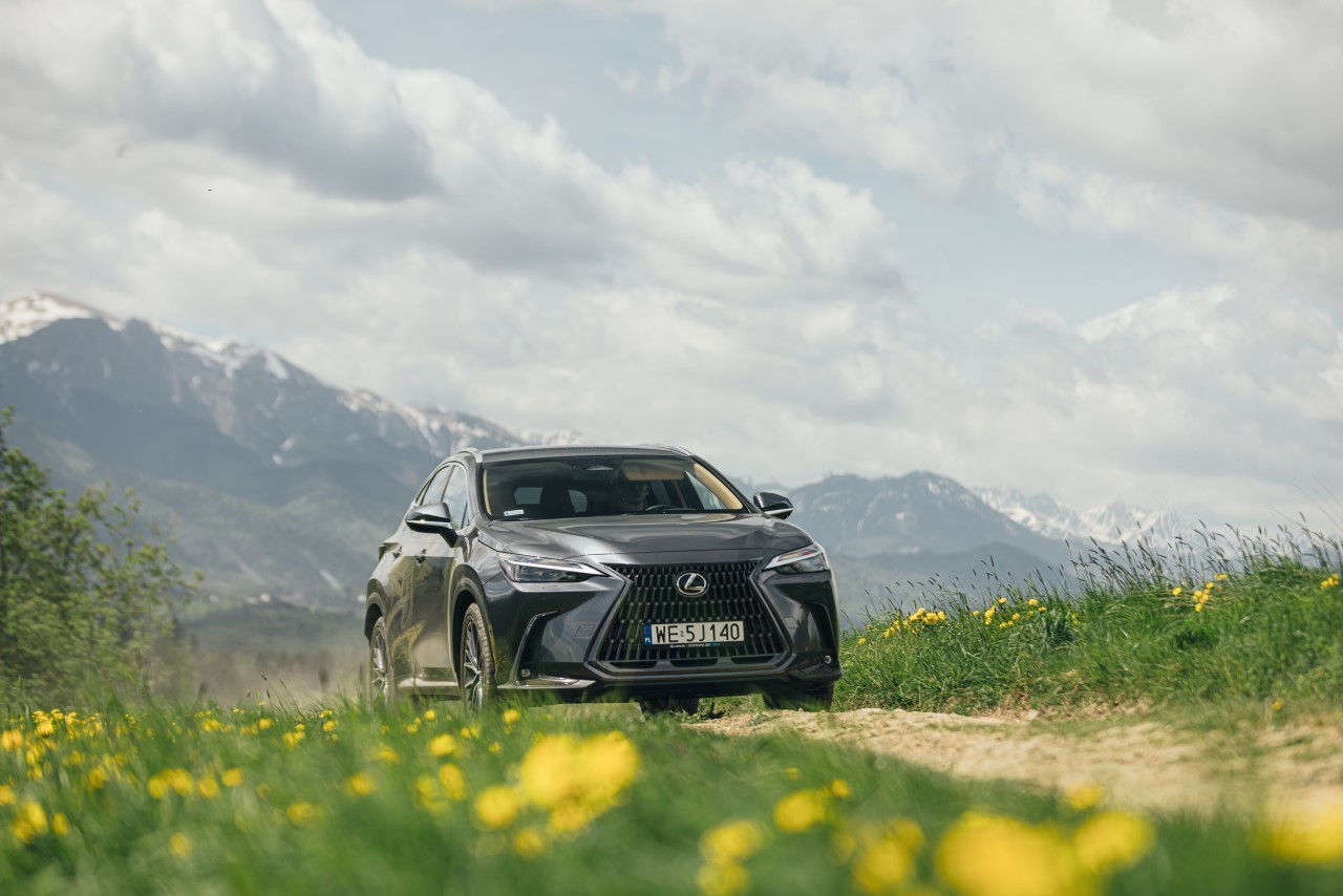 8. Lexus NX: 648 szt.