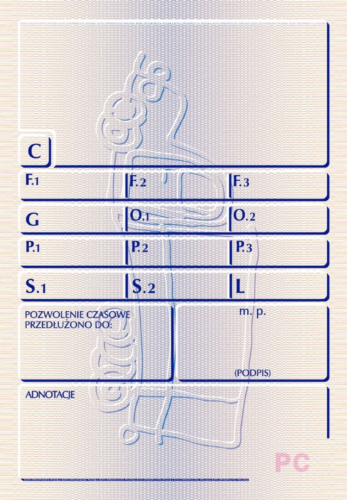 Nowe ozwolenie czasowe - wzór