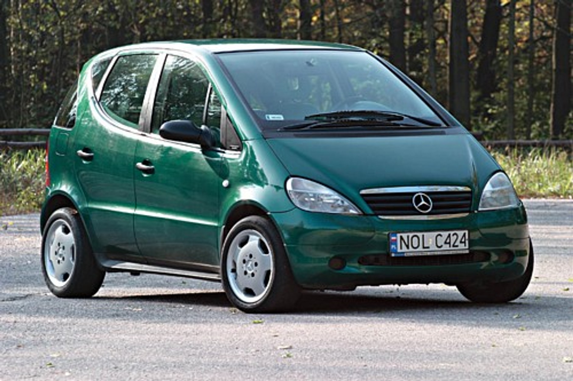 Maluch, za to z gwiazdą