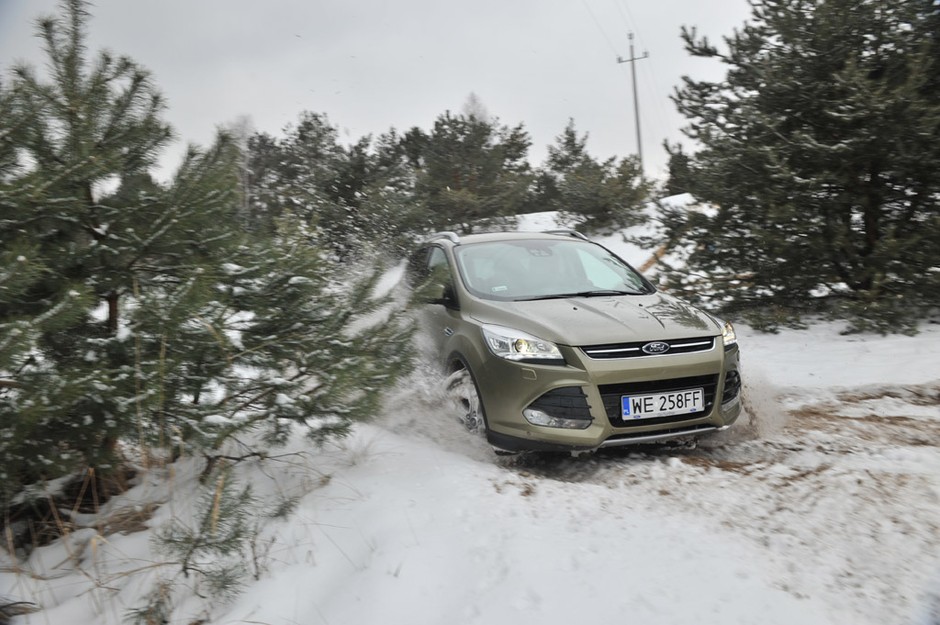 Toyota RAV4 kontra Ford Kuga i Subaru Forester: porównanie najnowszych SUV-ów na rynku