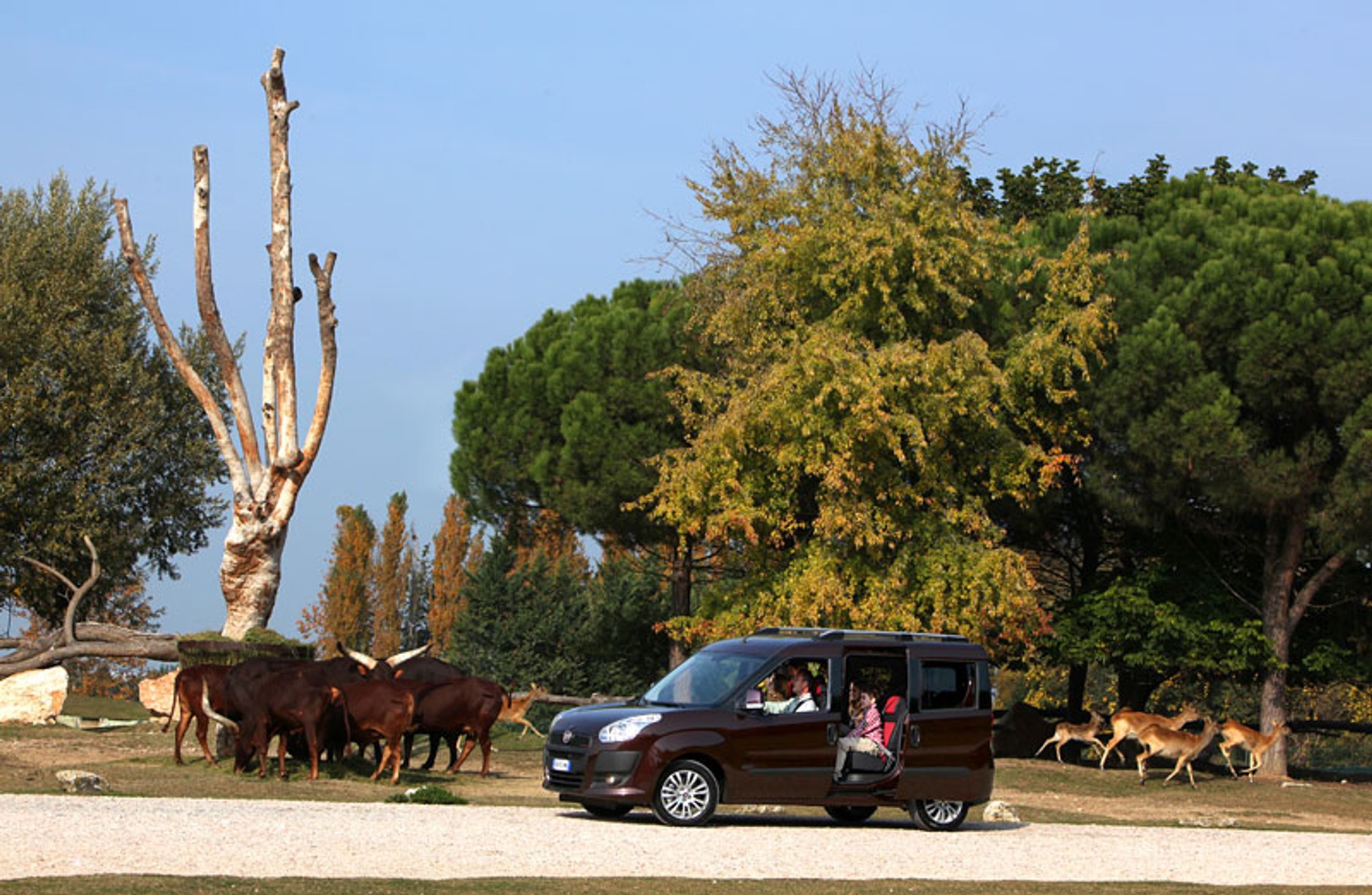 Fiat Doblo: dane techniczne i nowe zdjęcia