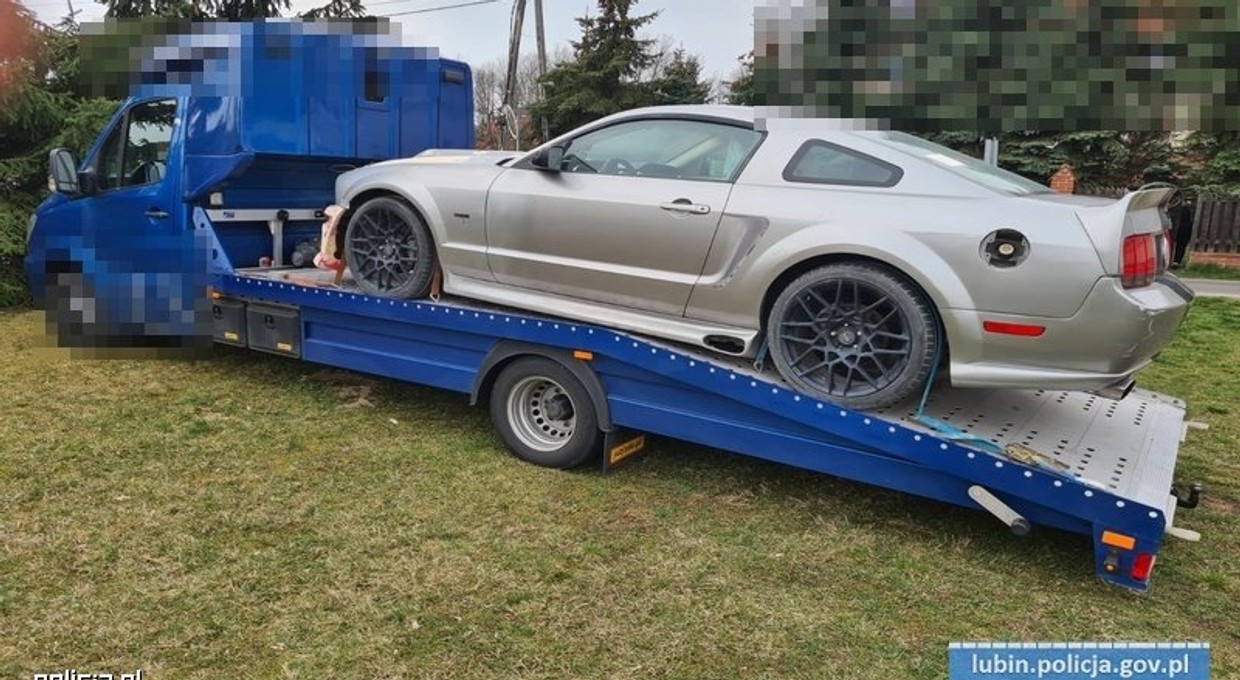 Kradziony Mustang prosto z lasu. Policja odzyskała też lawetę Mercedesa